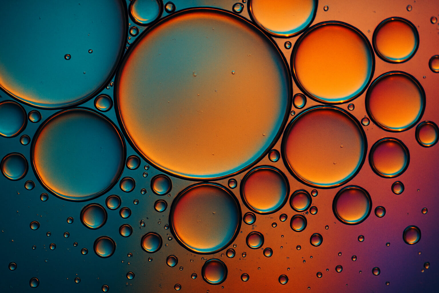 Colorful oil bubbles floating on water creating abstract circular patterns.